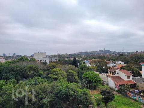 Image 17 - 272494